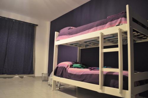 a bedroom with two bunk beds with purple walls at D-Gira Hostel Jujuy in San Salvador de Jujuy