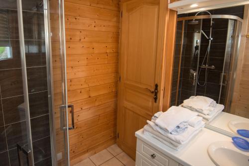 a bathroom with a shower and a sink at Les Adrets in Gérardmer