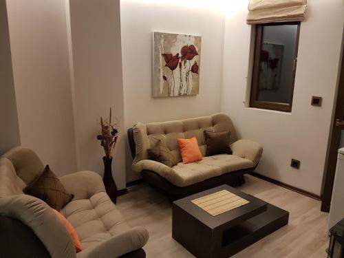 Lux Studio 45 in Fortuna – Photos 2