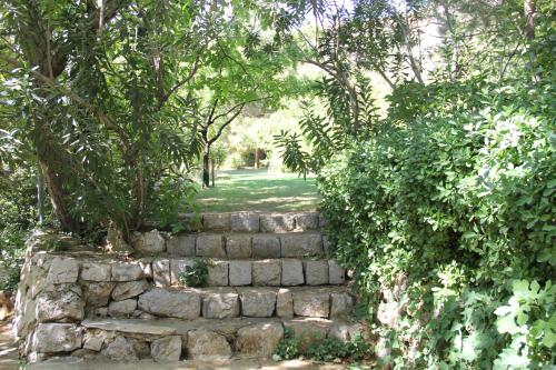 a set of stone stairs in a garden with trees at Domaine de Chouchene in Şaḩrat al Qashsh
