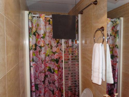 a bathroom with a shower with a floral shower curtain at Pension Plaza in Quinto