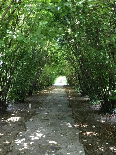Ca' Borgo delle Rane – Photos 4