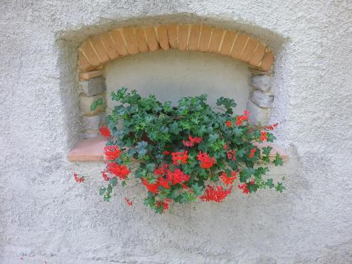 Φωτογραφία από το άλμπουμ του Casa Vacanze Podere Ugolini σε Ronta