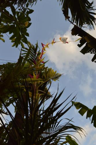 Taman di luar Askara Guest House & Hostel