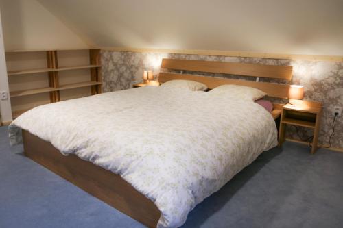 a bedroom with a large bed with a wooden headboard at Apartmán Fydorka in Jeseník