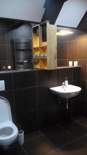 a bathroom with a sink and a toilet at Krakonošova Dílna "WOODHAUS" in Špindlerův Mlýn
