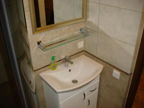 uma casa de banho com um lavatório e um espelho em Kufer Flat em Lviv