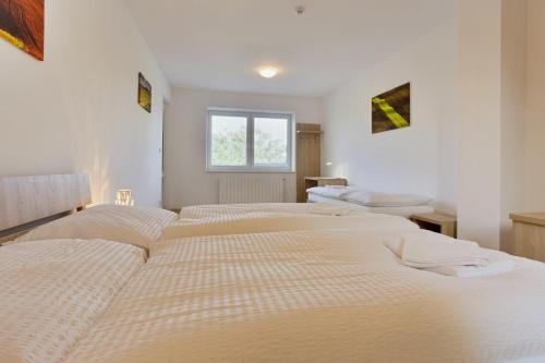 two beds in a room with white walls and a window at Rokava in Rohatec