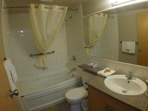 Bathroom sa Panorama Vacation Retreat at Horsethief Lodge