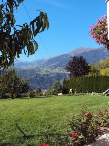 a green field with mountains in the background at Haus Neururer in Kauns