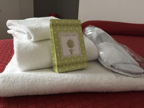 ein Buch, das auf Handtüchern auf einem Bett liegt in der Unterkunft Hotel Piccola Firenze in Firenzuola