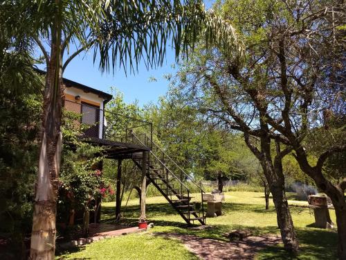 a tree house with a staircase leading up to it at Cabanas El Paramo in Colón