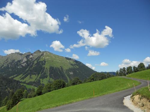 a road in the middle of a green mountain at Bauernhaus Gschwend in Gsteig