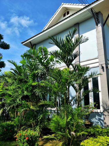 a house with palm trees in front of it at Blue House Sukhothai in Sukhothai
