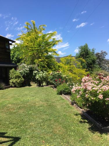 a yard with flowering bushes and a house at Rosewhite House in Myrtleford