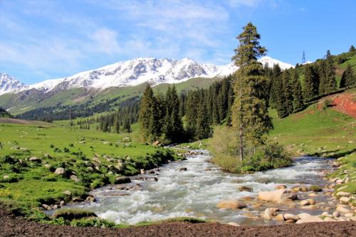 a river in a field with mountains in the background at Alakol-Jyrgalan Guest House in Dzhergalan