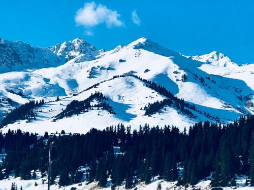 a mountain covered in snow with trees on it at Alakol-Jyrgalan Guest House in Dzhergalan