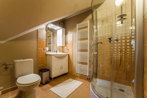 a bathroom with a toilet and a shower and a sink at Pension Olympion in Jihlava