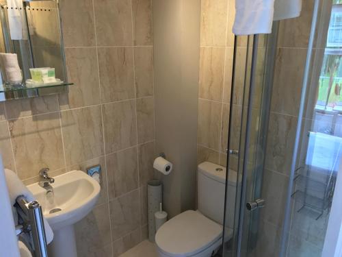 a bathroom with a toilet and a sink and a shower at The Black Swan Inn in Norwich