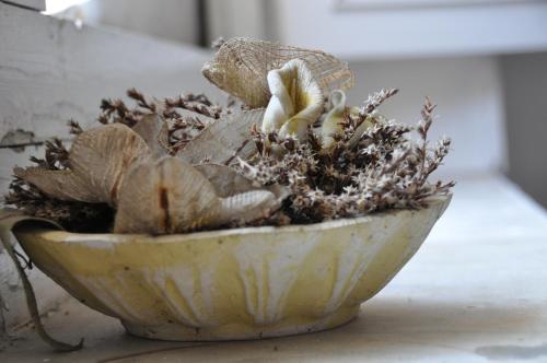 a bowl filled with dried flowers in a room at Casa Raffaele Conforti in Maiori