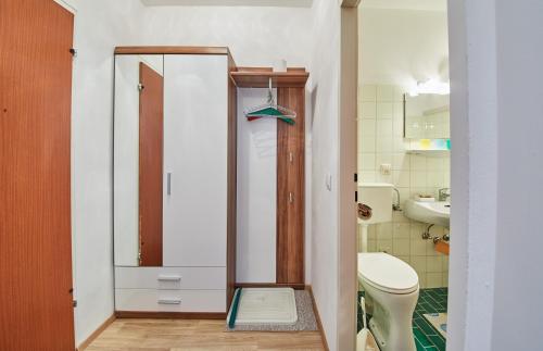 ザールバッハ・ヒンターグレムにあるAppartement Petitの小さなバスルーム(トイレ、シンク付)