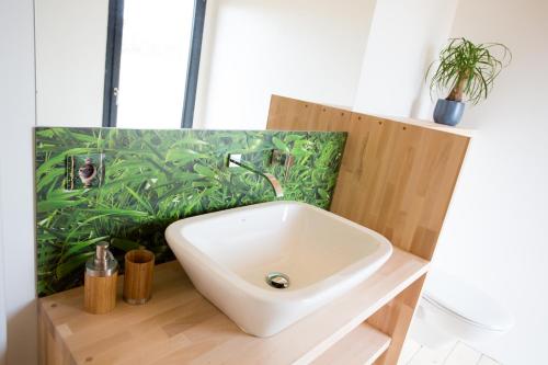 La salle de bains est pourvue d'un lavabo blanc et d'une plante. dans l'établissement Domaine Mejan, à Paradou