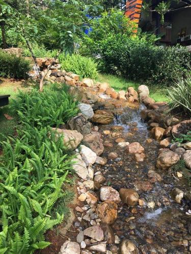 a creek with rocks and plants in a yard at Phu Pha View Doi in Samoeng