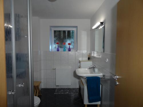 ein Bad mit einem Waschbecken, einem WC und einer Dusche in der Unterkunft Gästewohnung Leinetal in Alfeld