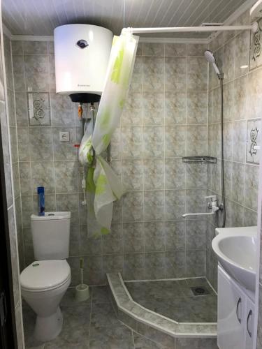 a bathroom with a toilet and a shower and a sink at Alakol-Jyrgalan Guest House in Dzhergalan