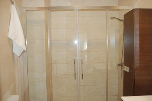 a shower with a glass door in a bathroom at Piso Teatro Romano in Cartagena