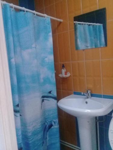 トムスクにあるCity Houseのバスルーム(洗面台、イルカのシャワーカーテン付)