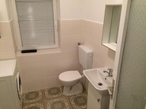 La salle de bains blanche est pourvue de toilettes et d'un lavabo. dans l'établissement apartma Delavska, à Maribor