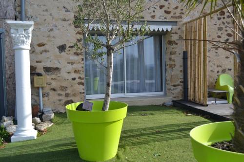 a large green pot with a tree in it at Chambre en Havre de paix in Panazol