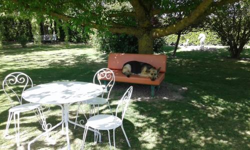 a dog laying on a couch next to two tables at Villa Gazounette in Castelmayran