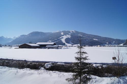 a snow covered field with a building and a tree at Urlaubsland Sonnfeld in Flachau