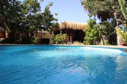 a swimming pool with blue water in front of a house at Tikay Suite Hotel in Copiapó