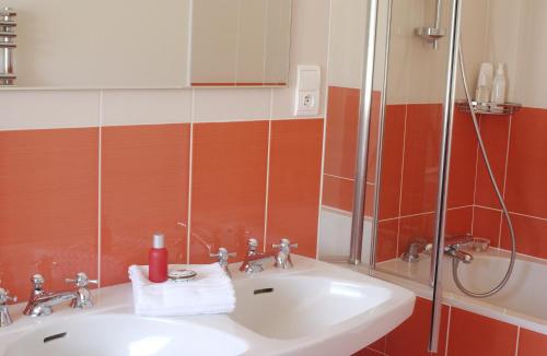 a bathroom with a sink and a shower at Clos Mirabel Manor - B&B in Jurançon