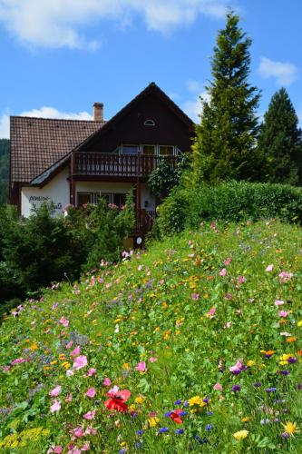 Gallery image of Pension Andante in Špindlerův Mlýn