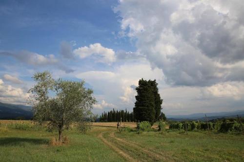 Φυσικό τοπίο κοντά σε αυτή η παραθεριστική κατοικία