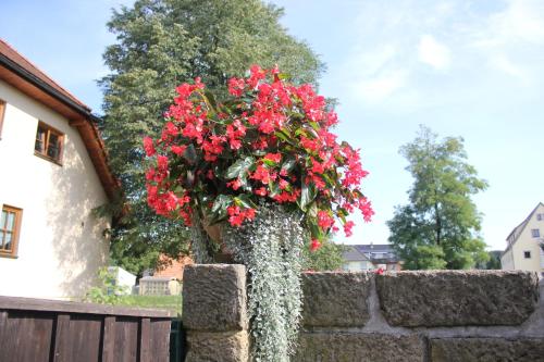 a vase filled with red flowers on top of a stone wall at "Altjessen 57" in Pirna