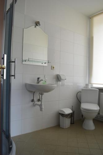un bagno con lavandino e WC di Klintis a Jaungulbene