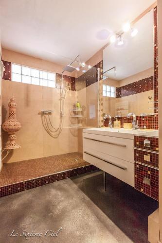 une grande salle de bain avec douche et lavabo dans l'établissement Le Sixième Ciel, à Lyon