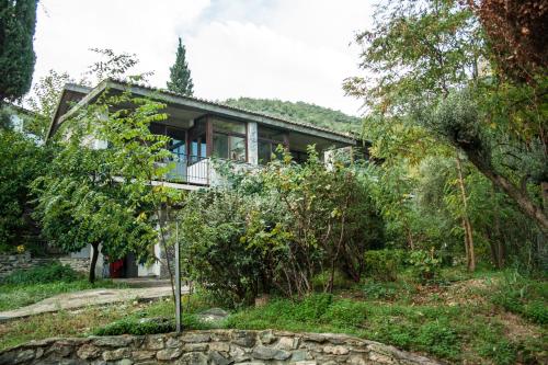 a house in the middle of a forest at Studios Kyparissi & Spa in Tiros