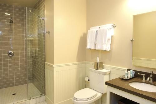 a bathroom with a toilet and a shower and a sink at Hotel Mac in Richmond