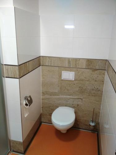 a bathroom with a white toilet in a stall at Penzion Pod Kaštany Kvasice in Kvasice