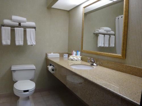 a bathroom with a toilet and a sink and a mirror at Windsor Inn & Suites in Dodge City