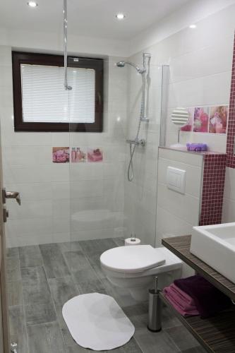 a bathroom with a toilet and a glass shower at Chata Valca PATJA-v mesiacoch apríl až november pri prenajatí aj jedného apartmánu uzavrieme ostatné apartmány, aby ste si užili súkromie in Valča