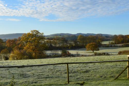 a field with a fence and trees in the background at Smithfield Farm Bed & Breakfast in Builth Wells