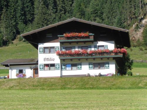 a building with flower boxes on the top of it at Haus Ottilie in Flachau
