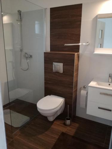 a bathroom with a toilet and a shower and a sink at Domki Białogóra in Białogóra